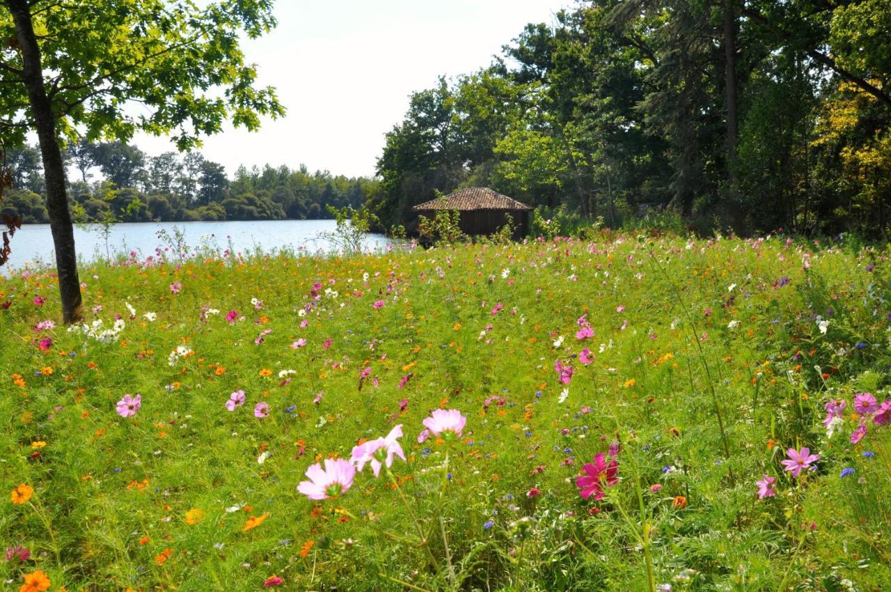 D'hotes La Maisonnette Bed & Breakfast Etusson